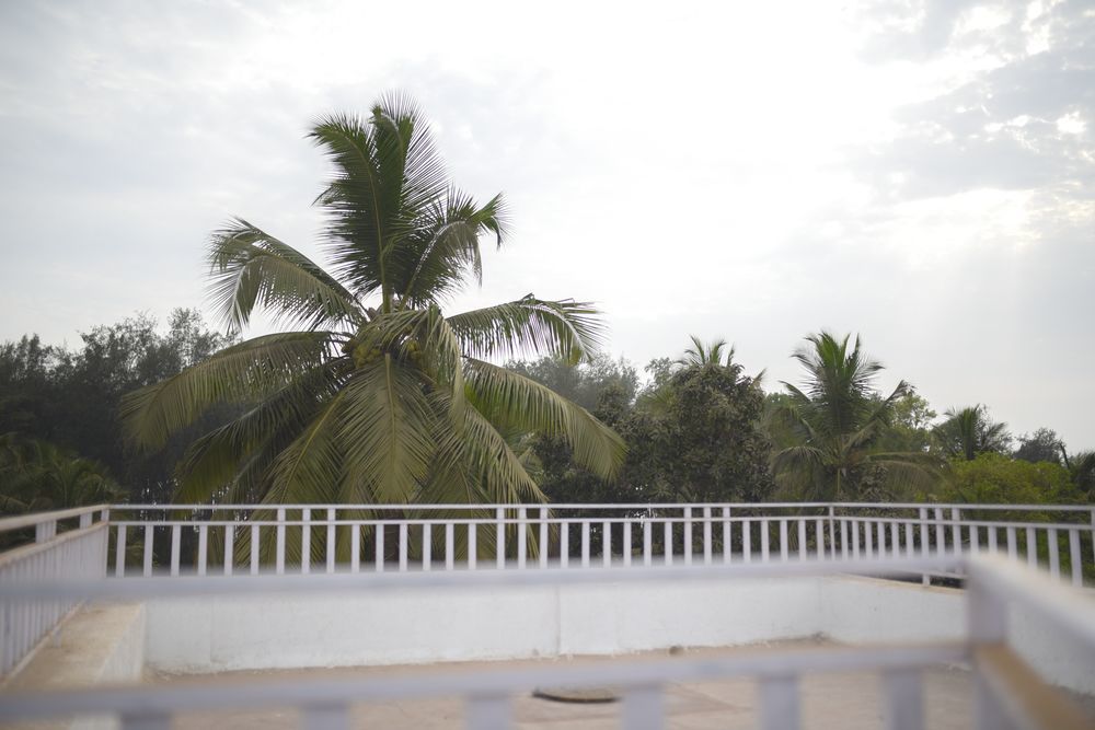 White House Beach Resort Nagaon  Luaran gambar
